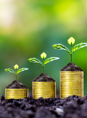 Mutual fund investment planning by Equity Optima